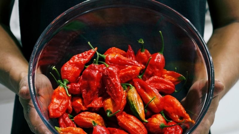 Why Do People Enjoy Eating Ghost Peppers?