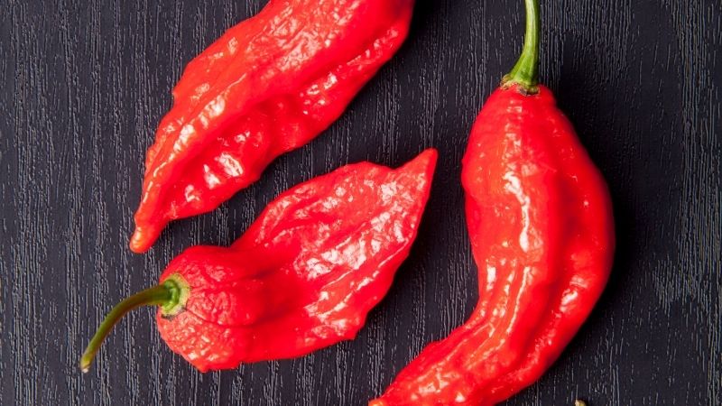 How To Store Your Ghost Peppers Without Losing Their Heat