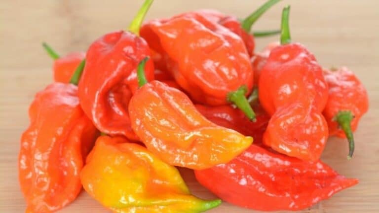 Reasons Why Ghost Peppers Stink