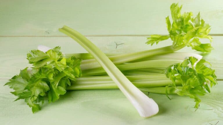 Is Celery Supposed to Be Spicy?