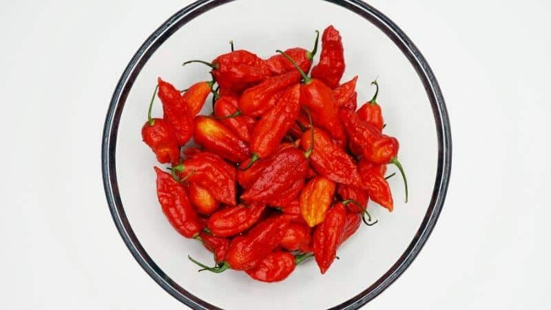 What Would Happen if You Eat Ghost Peppers Daily?