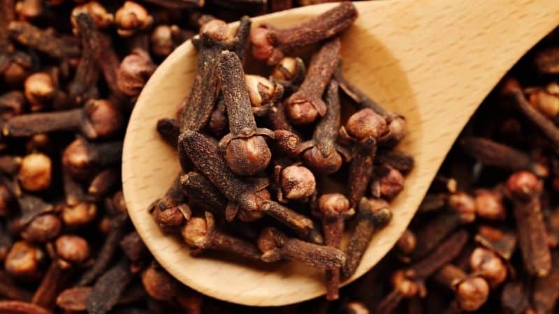 Cloves