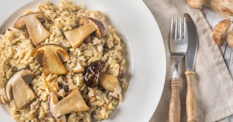 Risotto with Funghi and Chile de Arbol