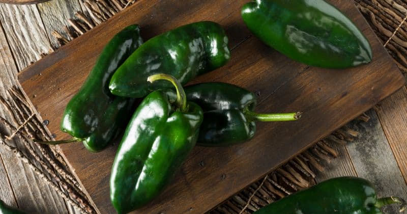 poblano peppers stores