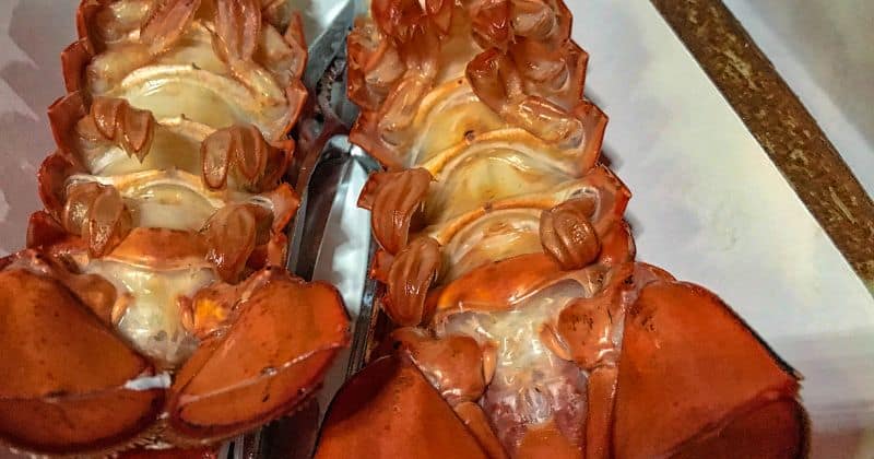Baking Lobster