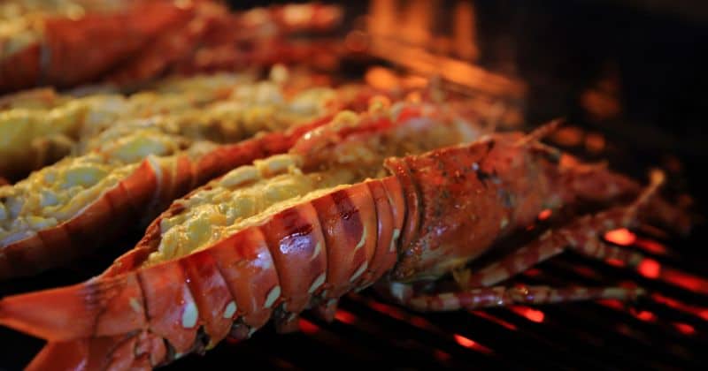 Grilling Lobster