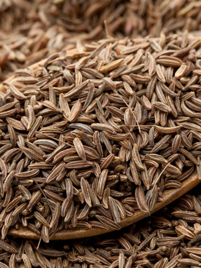 Caraway Seed