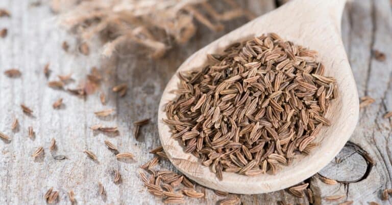 Caraway Seed and Health benefits