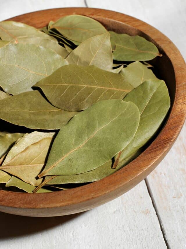 Bay Leaf Tips And Tricks For Cooking With This Aromatic Herb
