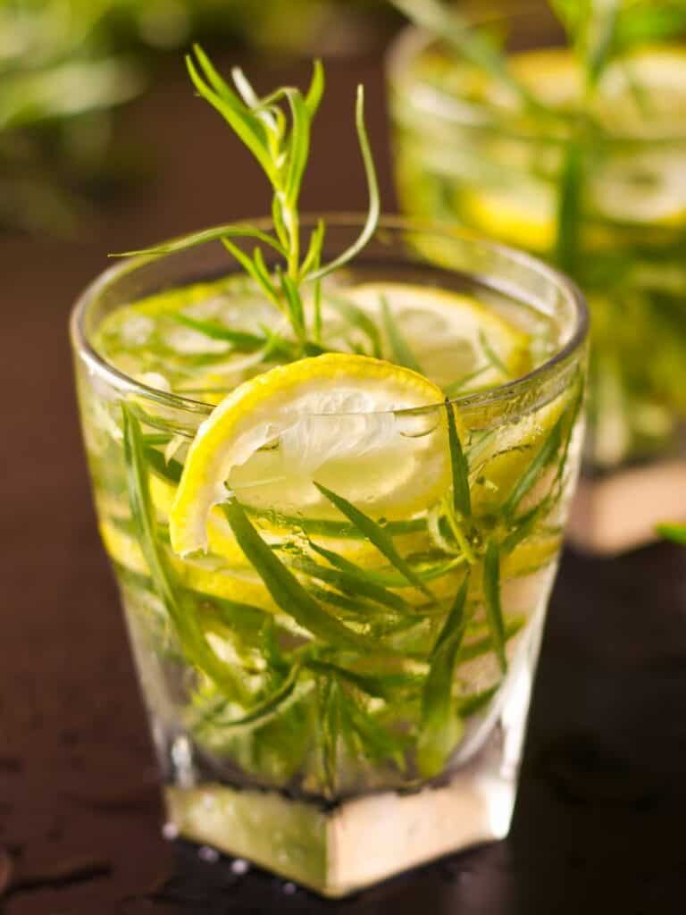 Mojito with Fresh Tarragon