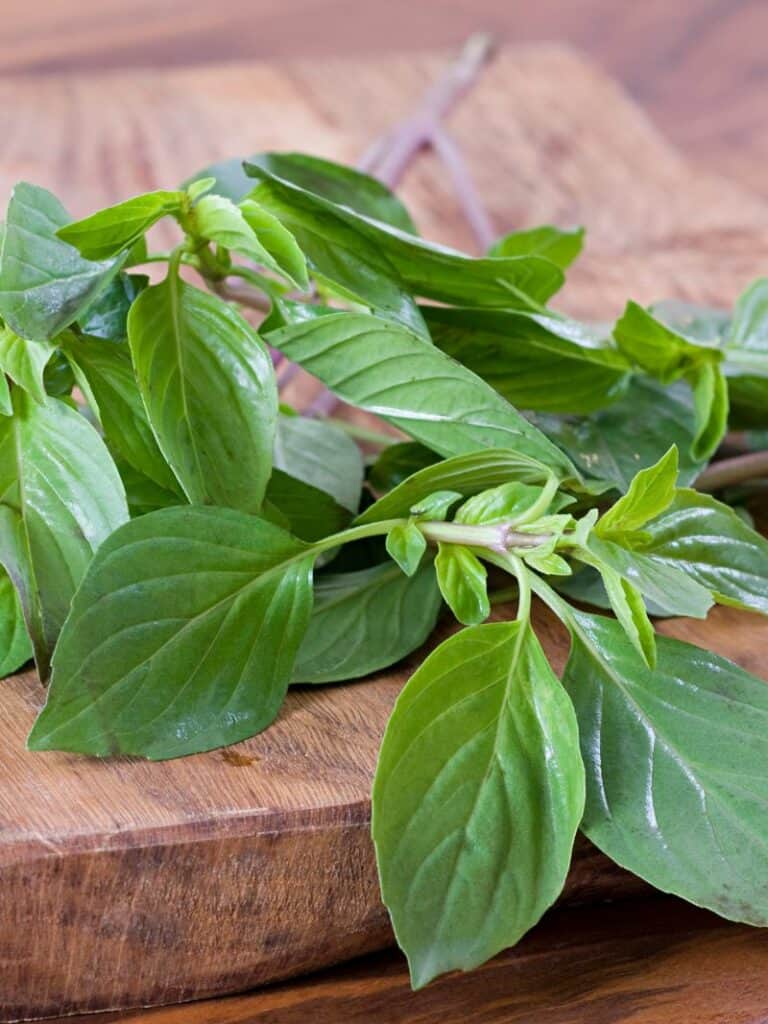 Thai Basil