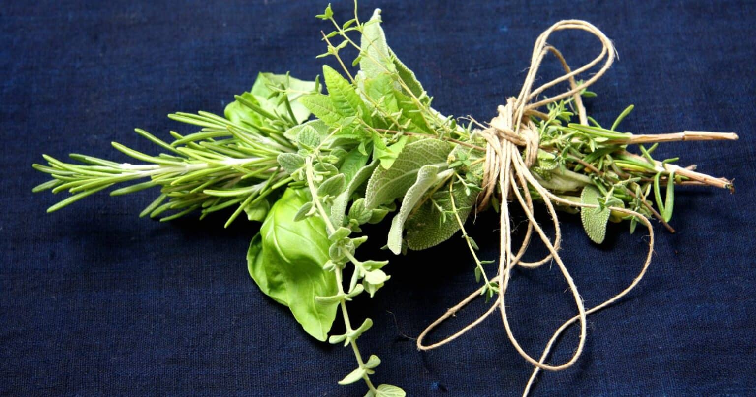 The Ultimate Guide To Bouquet Garni: From Origins To Recipes