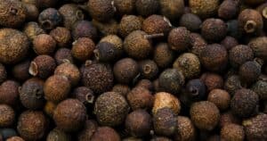 allspice what is it