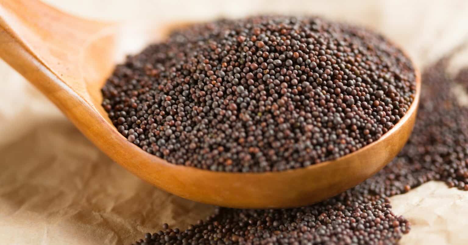 The Ultimate Guide To Brown Mustard Seed From Seeds To Powder