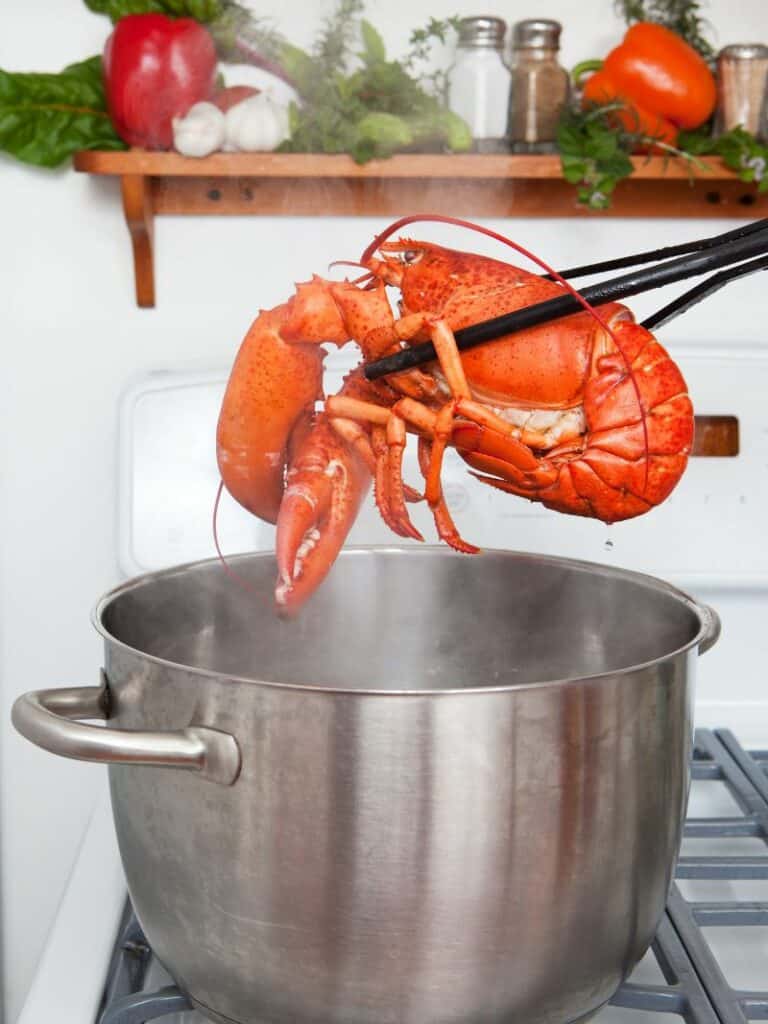 Boiling Lobster