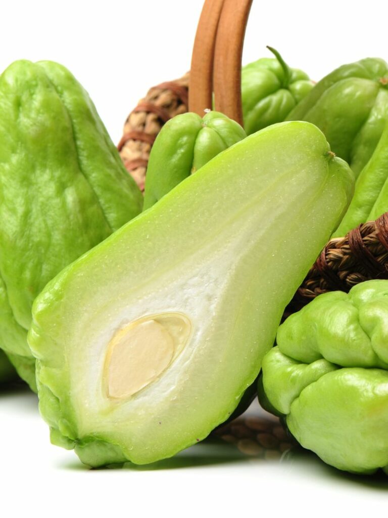 Chayote