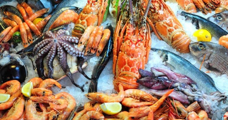 Does Lobster Taste Like Shrimp
