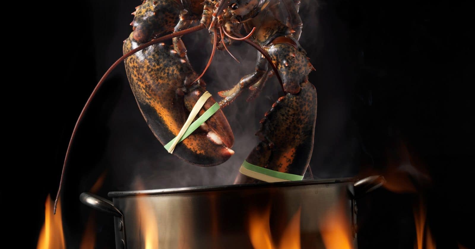 Lobster Boil Time Per Pound