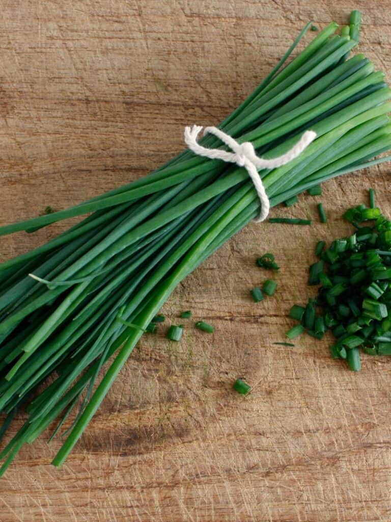 What Are Chives
