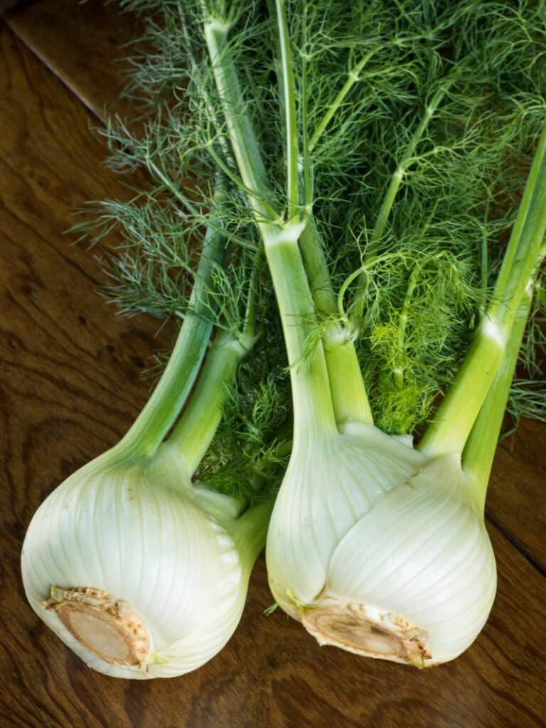 What Is Fennel