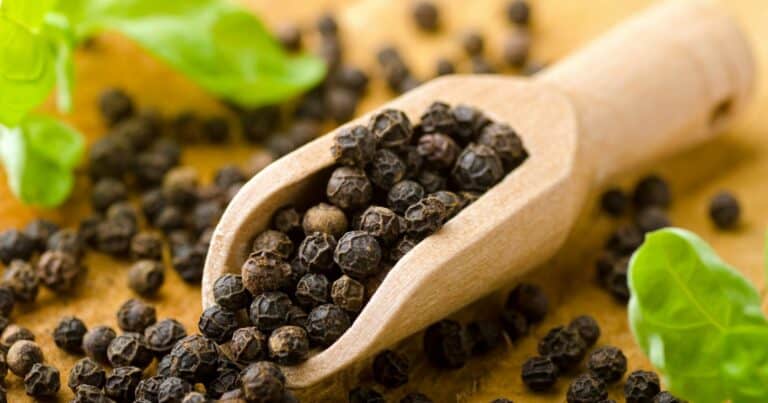 can dogs have black pepper