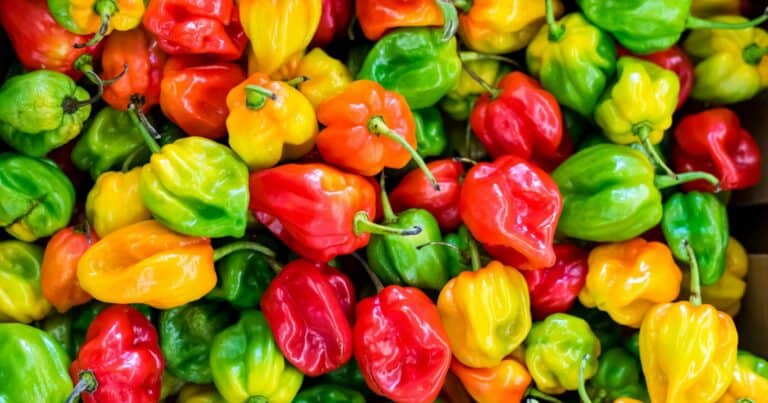 are habaneros good for you