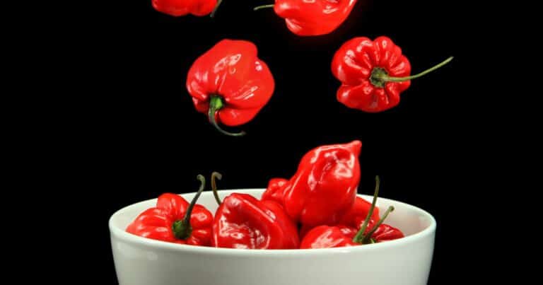 can you eat habanero peppers raw