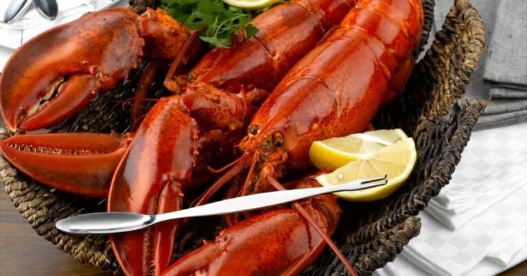 how long is cooked lobster good for