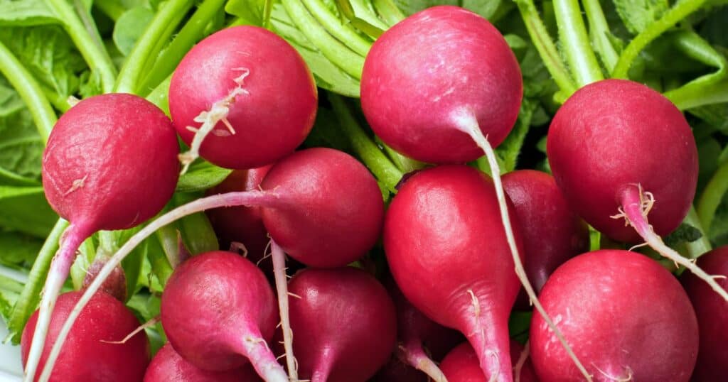 is radish supposed to be spicy