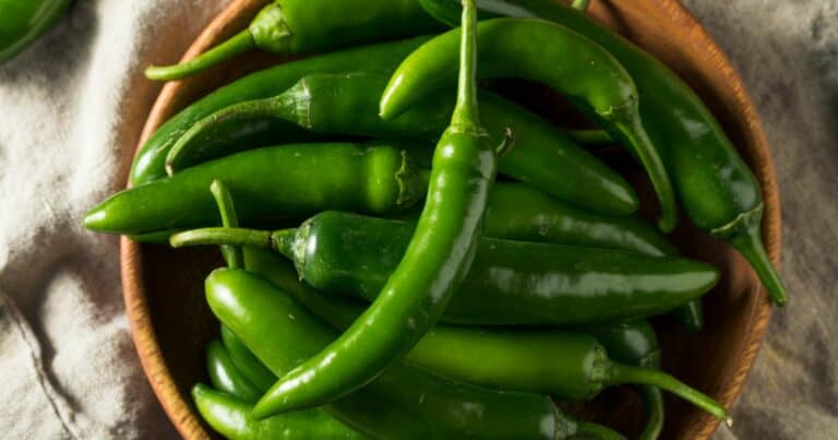 how spicy is serrano pepper