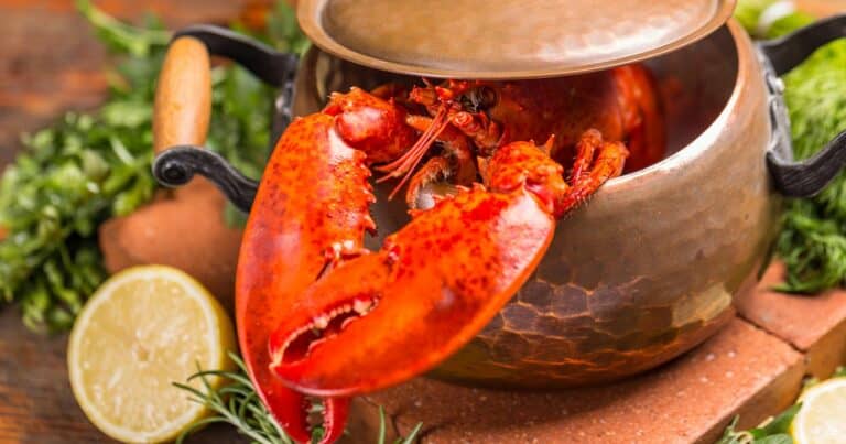 how to keep boiled lobster warm