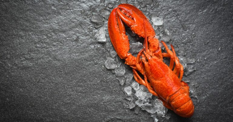 how to steam frozen cooked lobster