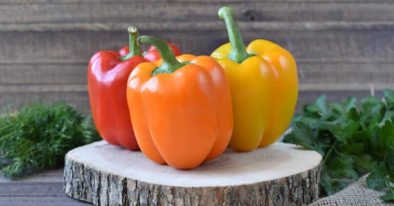 difference between bell peppers and sweet peppers