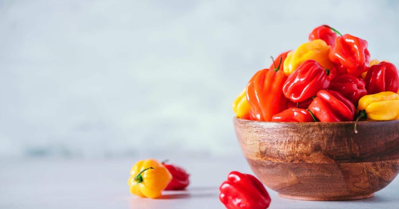 How Many Peppers Actually Fit in a Pound? The Pepper Pound Breakdown