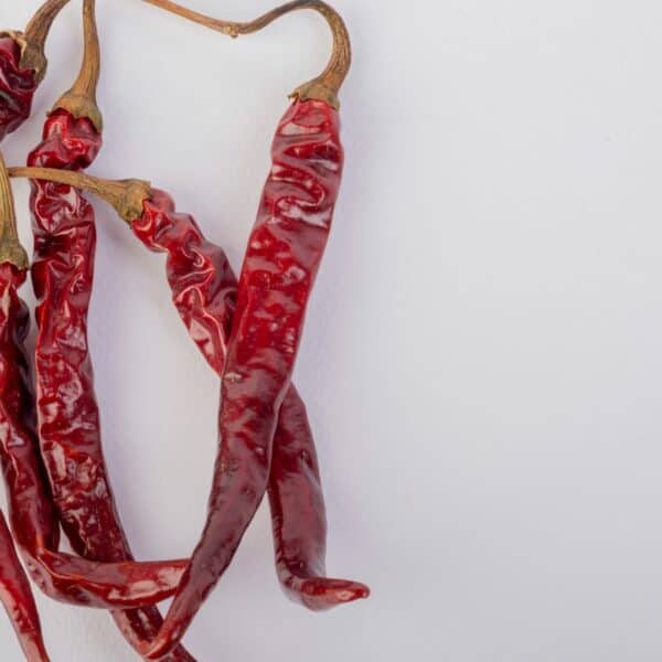 Add Some Spice to Your Life With the Peperoncino Plant