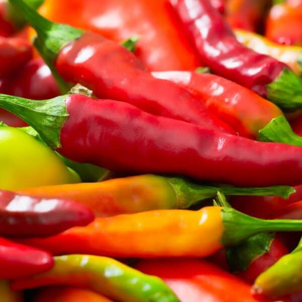 What Makes Peppers Spicy? It’s All About the Seeds and Membrane