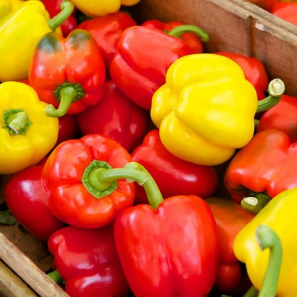 Why Do Bell Peppers Taste Spicy to Me?